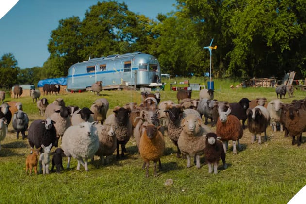 Hình ảnh về phim The Sheep Detectives.