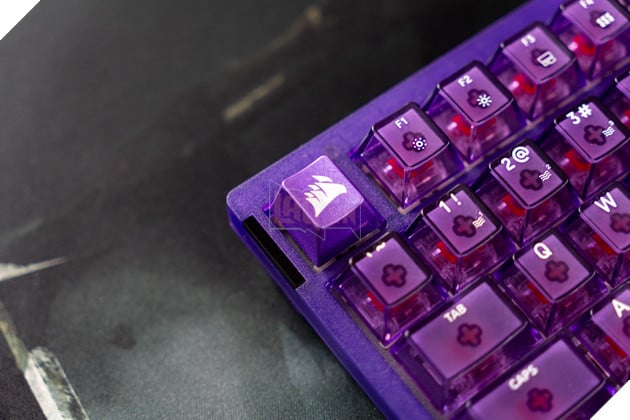Corsair K65 Plus Wireless Atomic Purple: Thiết kế translucent cực cuốn, trải nghiệm gõ ấn tượng 5