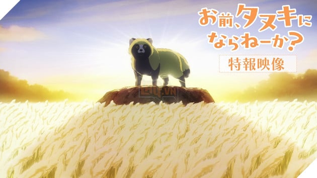 Bỏ lại thế giới mệt mỏi để làm... một chú lửng: Siêu phẩm Anime Would you like to be a tanuki? chính thức lộ diện 3