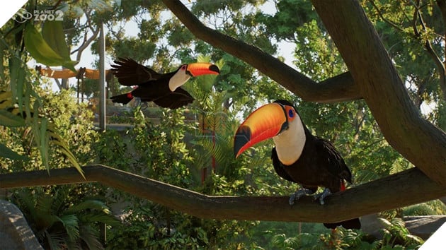 Planet Zoo 2 Chính Thức Công Bố, Lần Đầu Tiên Có Động Vật Bay Và Sinh Vật Biển 2