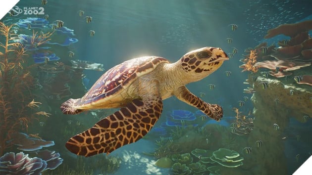Planet Zoo 2 Chính Thức Công Bố, Lần Đầu Tiên Có Động Vật Bay Và Sinh Vật Biển