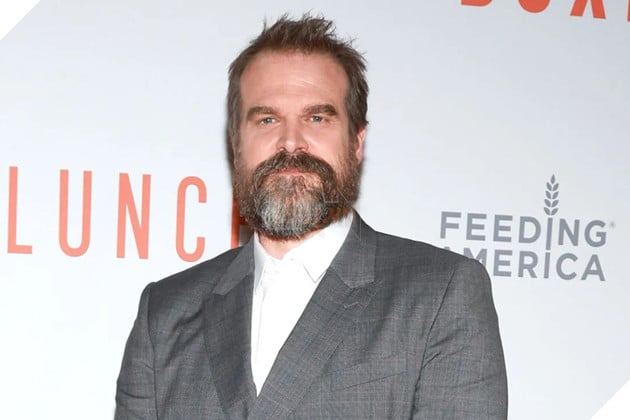 Hình ảnh vế sao nam David Harbour.