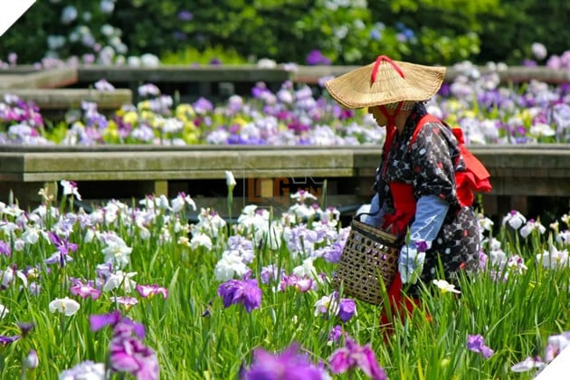 Khi vẻ đẹp ảo lấn át cảnh sắc thật: Công viên Nhật Bản lên tiếng về tình trạng Cosplayer chiếm dụng không gian 3