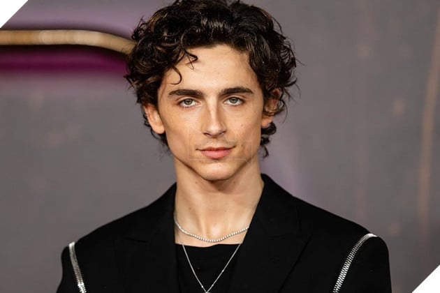 Hình ảnh về diễn viên Timothée Chalamet.