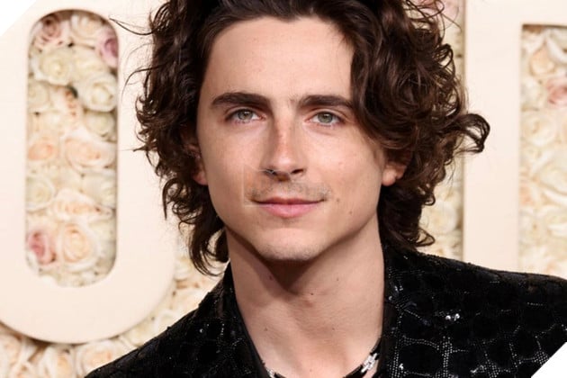 Hình ảnh về sao nam Timothée Chalamet.