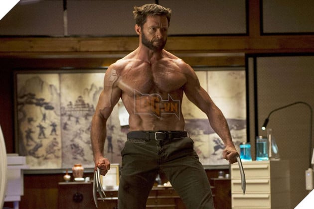 Hình ảnh về nhân vật Wolverine do sao nam Hugh Jackman đóng.