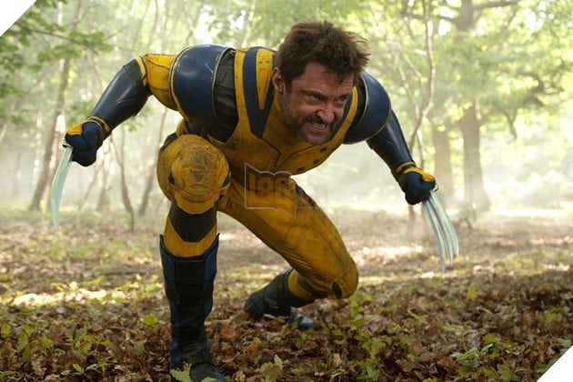 Hình ảnh về nhân vật Wolverine.
