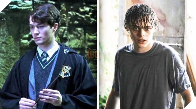 Harry Potter của HBO xác nhận thông tin về Tom Riddle, dập tắt tin đồn đổi giới tính Voldemort 2