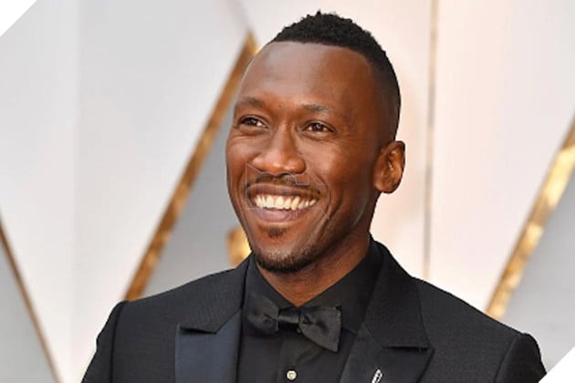 Hình ảnh về diễn viên "Mahershala Ali".