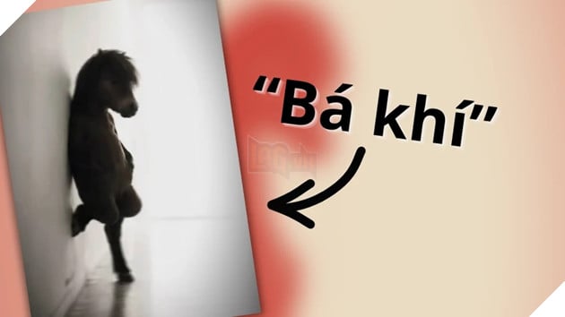 “Bá khí” là gì? Nguồn gốc của meme đang phủ sóng mạng xã hội 2