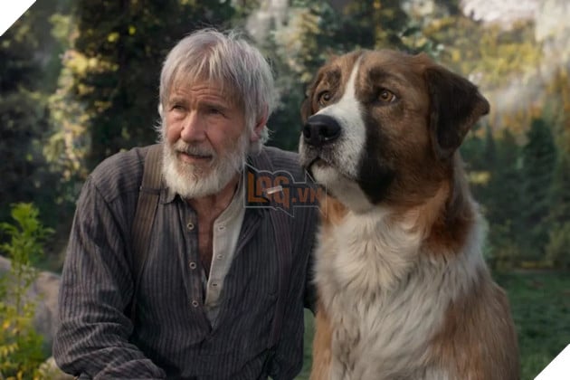 Hình ảnh về phim "Tiếng Gọi Nơi Hoang Dã" có sự tham gia của Harrison Ford.